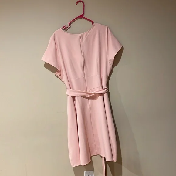 Lane Bryant Pink Midi Dress - Picture 3 of 4